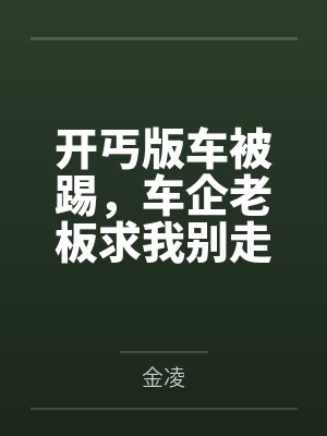 开丐版车被踢,车企老板求我别走封面