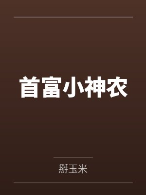 张渊李大婶封面