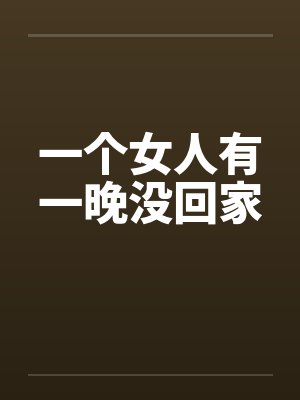 一个女人有一晚没回家的原因封面