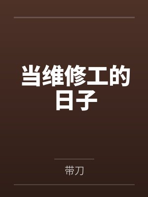当维修工的日子封面