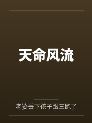 天命风流封面